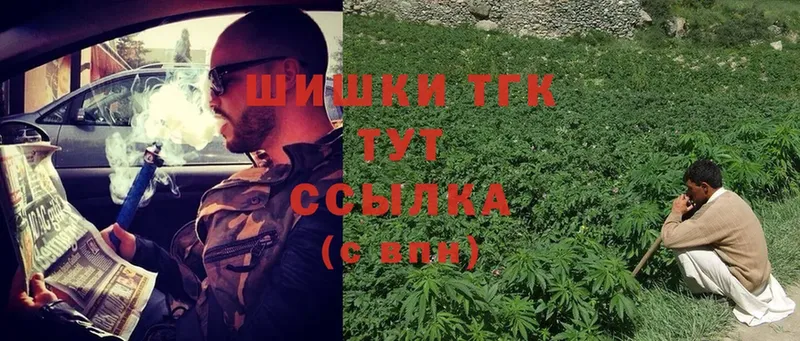 Канабис гибрид  Вичуга 